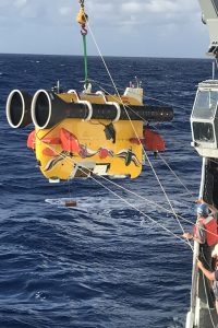 AUV <em>Sentry</em> outfitted with the SyPRID sampler and decorated with decals representing some of the types of larvae that would be gathered during sampling. 