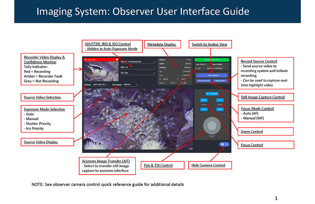 Observer-UI-shortform-ref_Page_1.V2