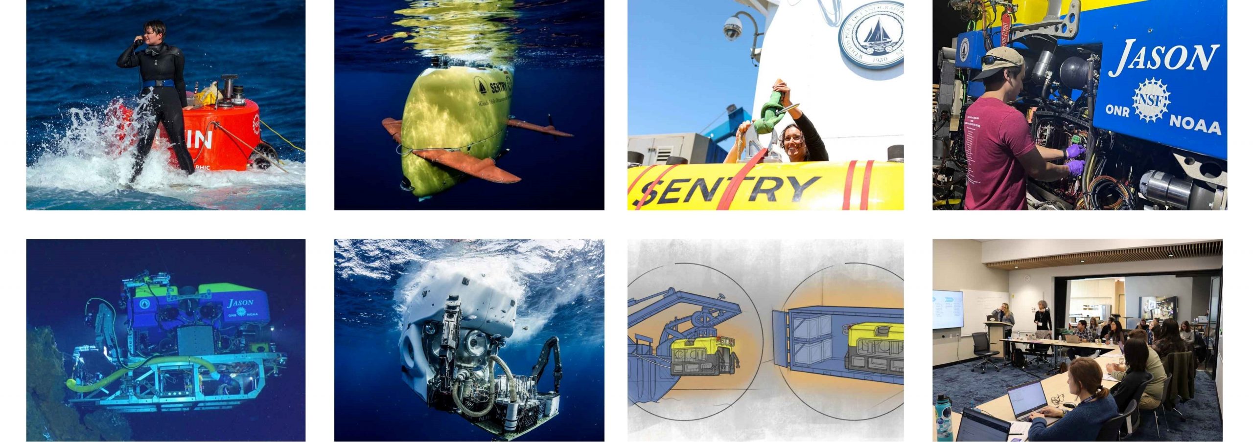 DeSSC Collage