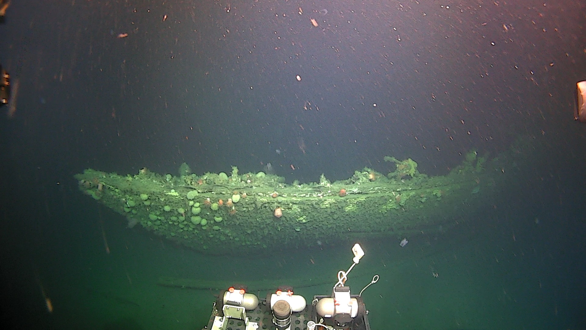 The wreck of Capt. Robert F. Scott's Terra Nova, as seen from the brow cameras of Alvin