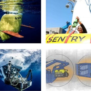 DeSSC Collage